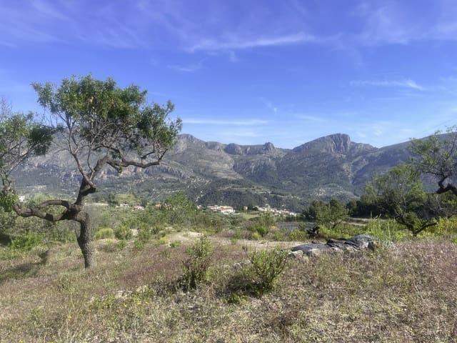 Terreno en venta en la Marina Baixa, Valencia