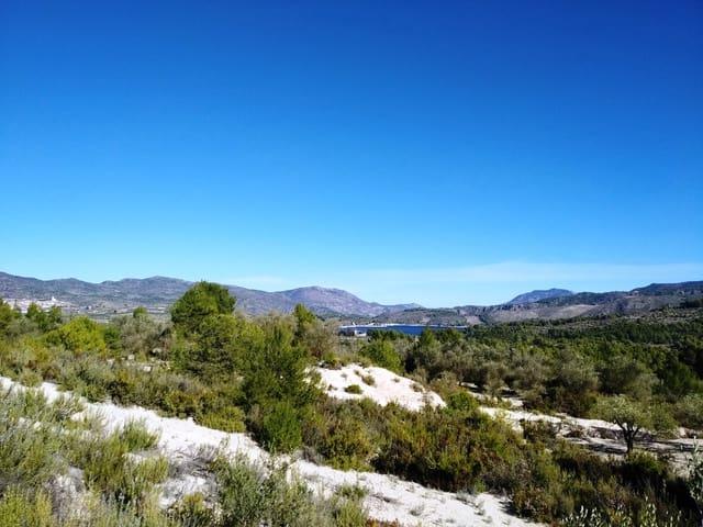 Terreno en venta en el Comtat, Valencia