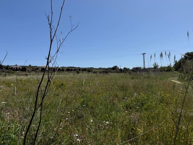Terreno en venta en la Marina Alta, Valencia