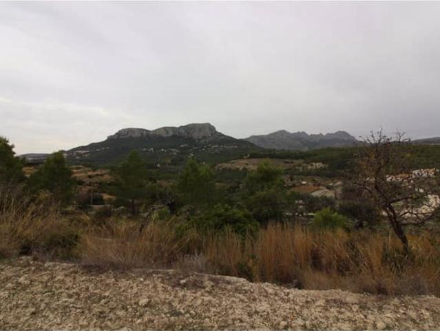 Terreno en venta en la Marina Alta, Valencia