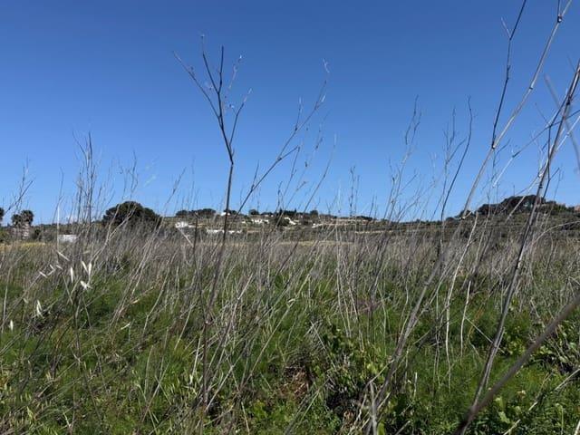Terreno en venta en la Marina Alta, Valencia