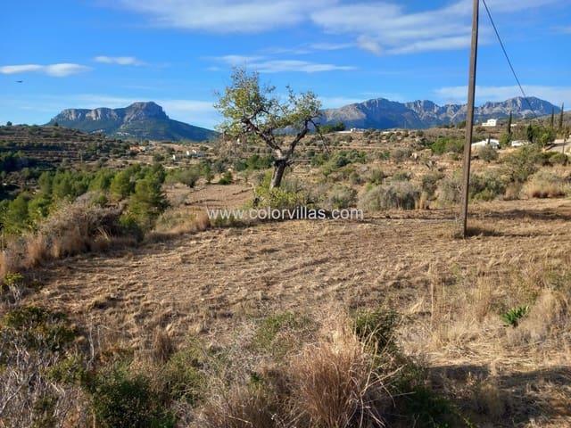 Terreno en venta en la Marina Alta, Valencia