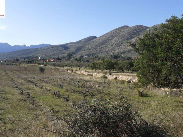 Terreno en venta en la Marina Alta, Valencia