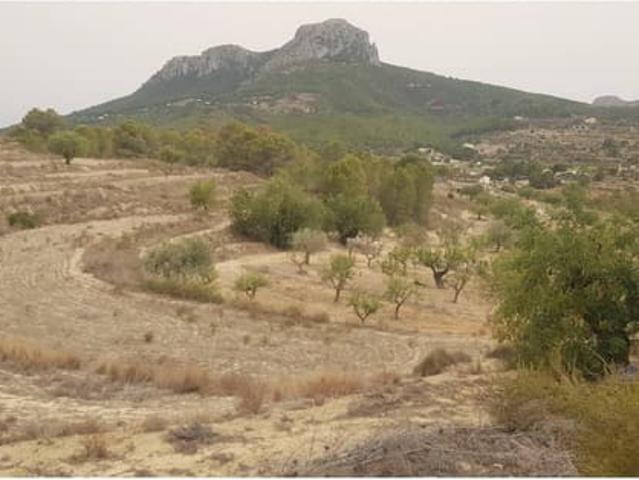 Terreno en venta en la Marina Alta, Valencia
