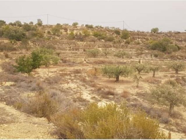Terreno en venta en la Marina Alta, Valencia