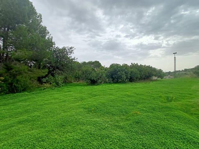 Terreno en venta en la Marina Alta, Valencia