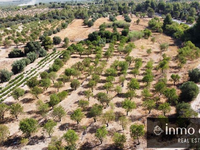 Terreno en venta en Biar, Alacant / Alicante
