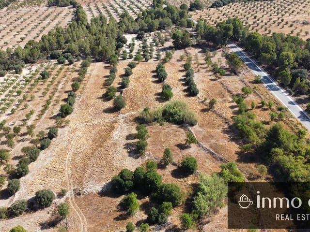 Terreno en venta en l'Alt Vinalopó / El Alto Vinalopó, Valencia