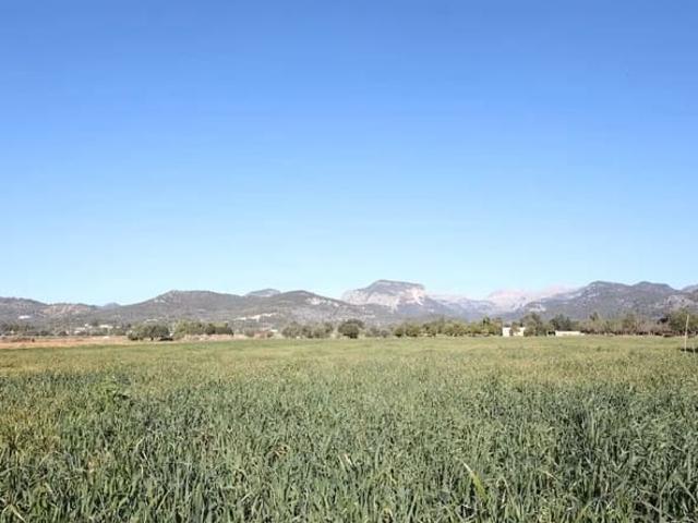 Terreno en venta en Raiguer, Baleares