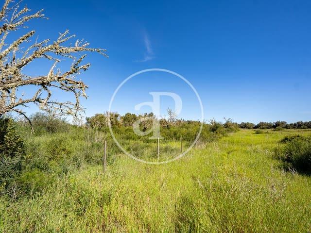 Terreno en venta en Raiguer, Baleares