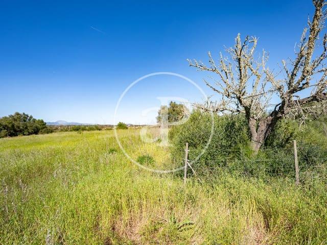 Terreno en venta en Raiguer, Baleares
