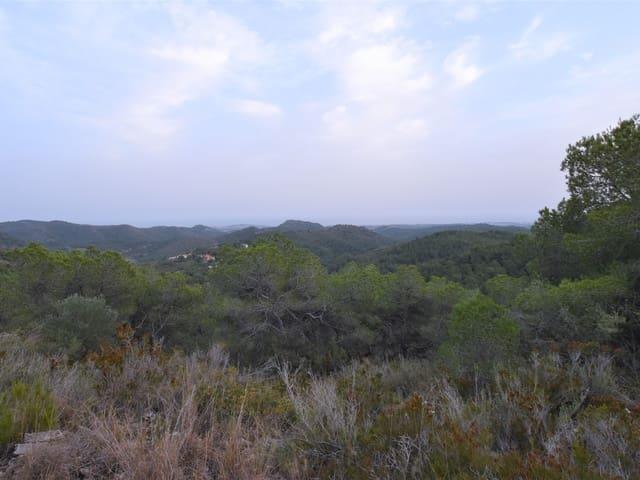 Terreno en venta en Bonastre Terreno en venta en Bonastre
