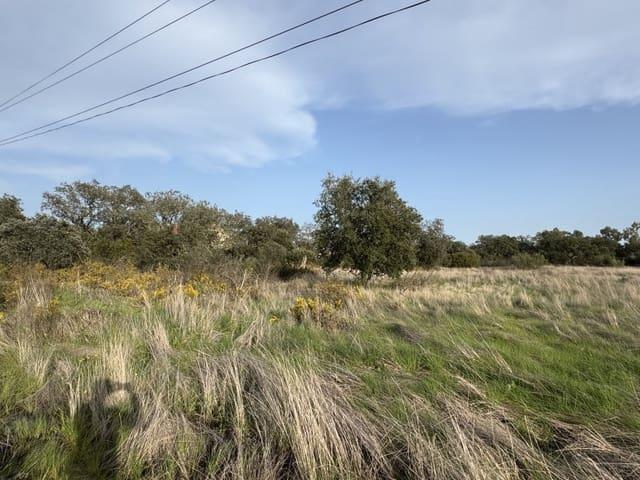 Terreno en venta en Tierra de Badajoz, Extremadura