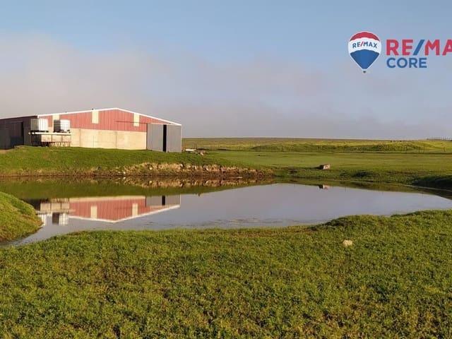 Terreno en venta en Brozas, Cáceres