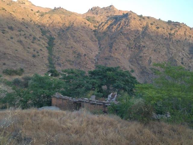 Terreno en venta en Comarca de la Alpujarra Granadina, Andalucía