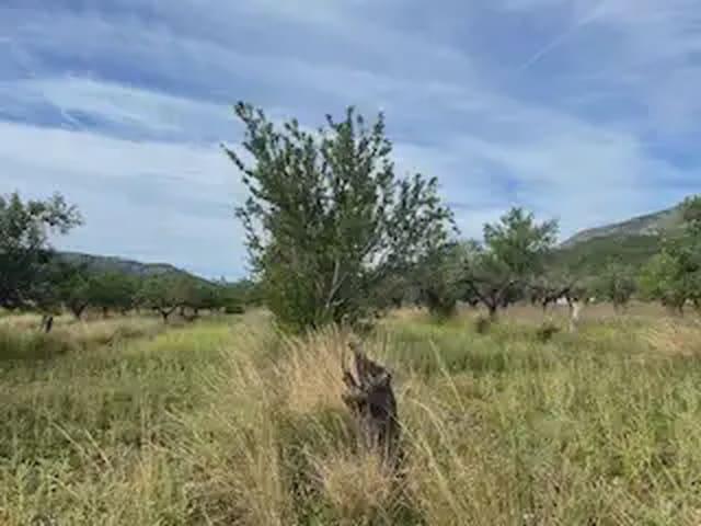 Terreno en venta en la Plana Alta, Valencia