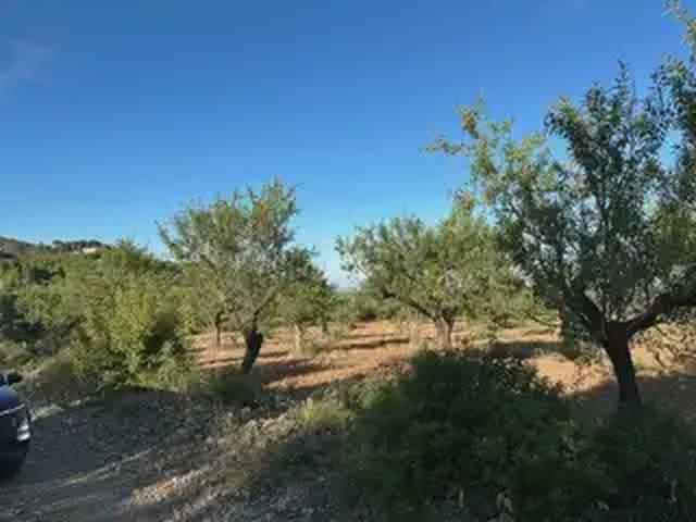 Terreno en venta en la Plana Alta, Valencia