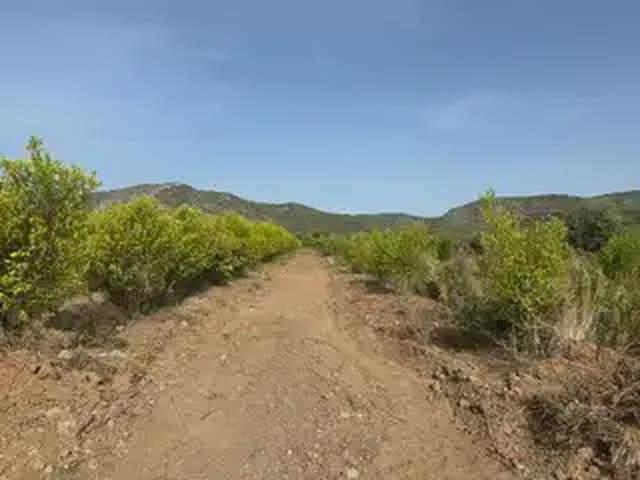 Terreno en venta en la Plana Alta, Valencia
