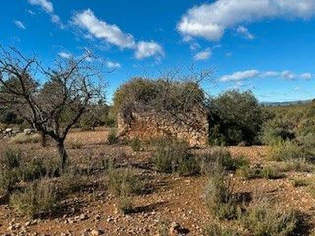 Terreno en venta en la Plana Alta, Valencia