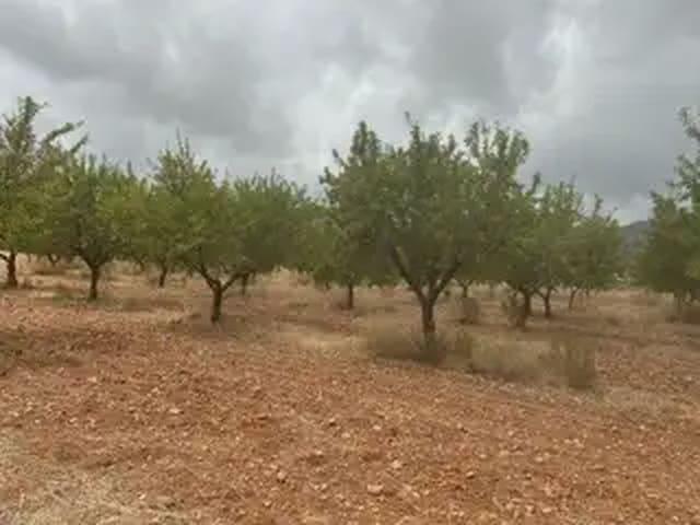 Terreno en venta en la Plana Alta, Valencia