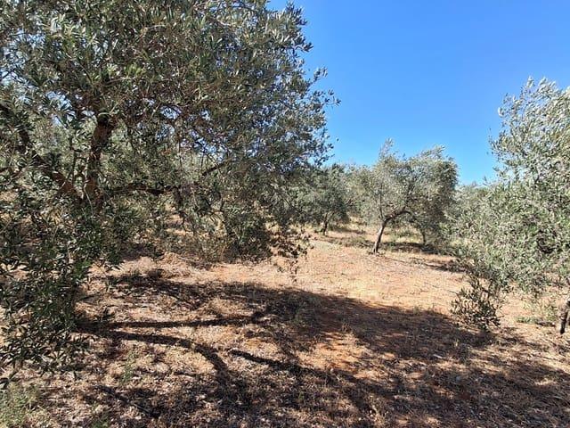 Terreno en venta en Urbanización Los Sauces, Sierra de Cádiz