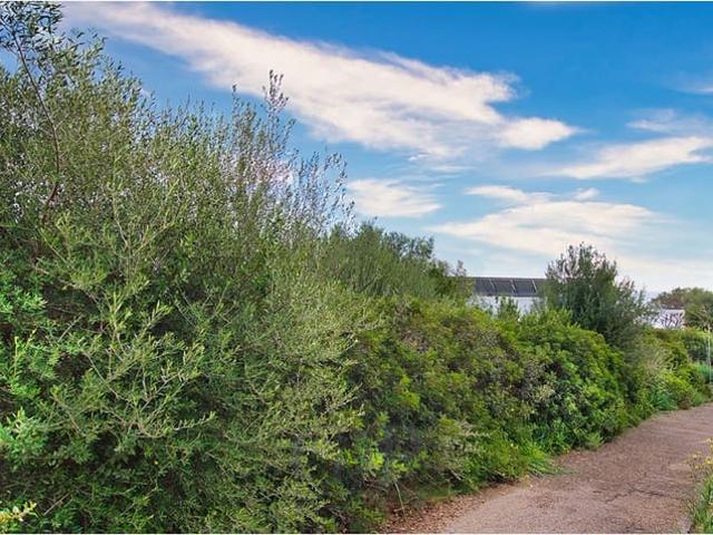 Terreno en venta en Manacor, Llevant