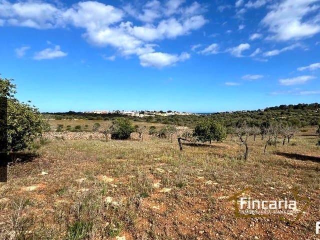 Terreno en venta en Manacor, Llevant