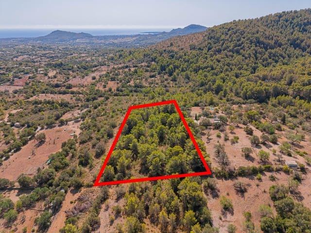 Terreno en venta en Cala Millor, Llevant