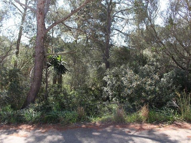Terreno en venta en Manacor, Llevant