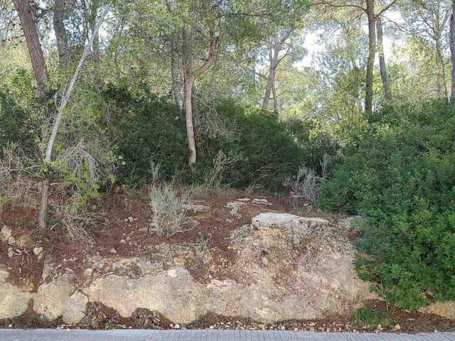 Terreno en venta en Calvià, Serra de Tramuntana