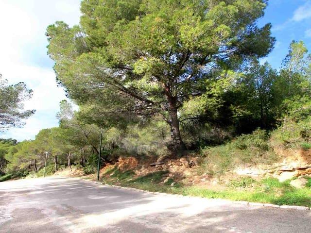 Terreno en venta en Calvià, Serra de Tramuntana
