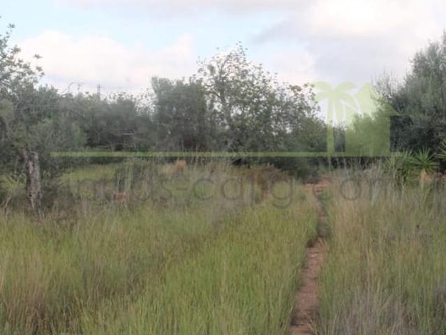 Terreno en venta en el Baix Maestrat, Valencia