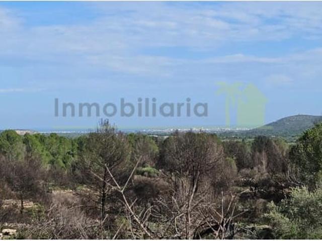 Terreno en venta en el Baix Maestrat, Valencia