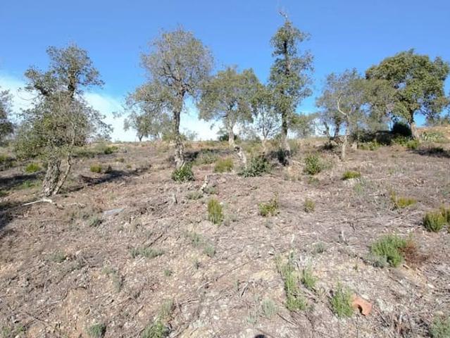 Terreno en venta en Calonge i Sant Antoni, Baix Empordà