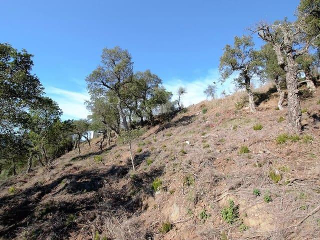 Terreno en venta en Calonge i Sant Antoni, Baix Empordà