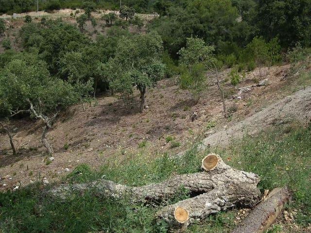 Terreno en venta en Calonge i Sant Antoni, Baix Empordà