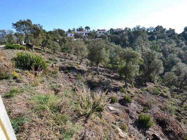 Terreno en venta en Calonge i Sant Antoni, Baix Empordà