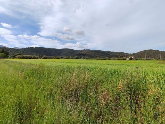 Terreno en venta en Campanet