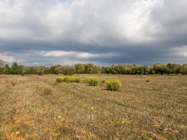 Terreno en venta en Migjorn, Baleares