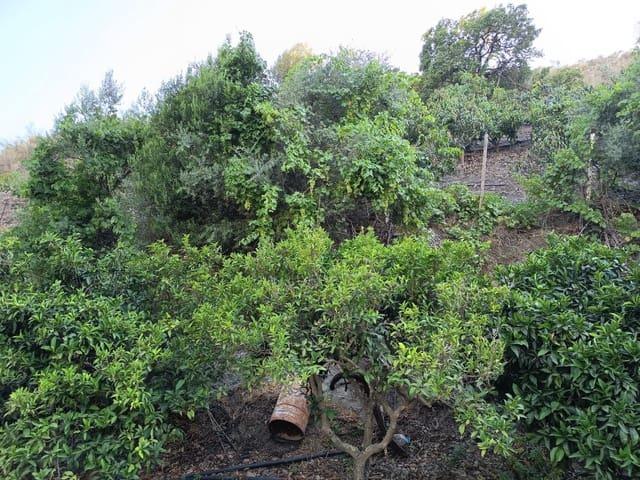 Terreno en venta en La Axarquía, Andalucía