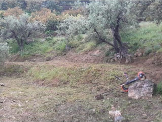 Terreno en venta en La Axarquía, Andalucía