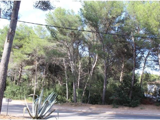 Terreno en venta en Canyamel, Llevant