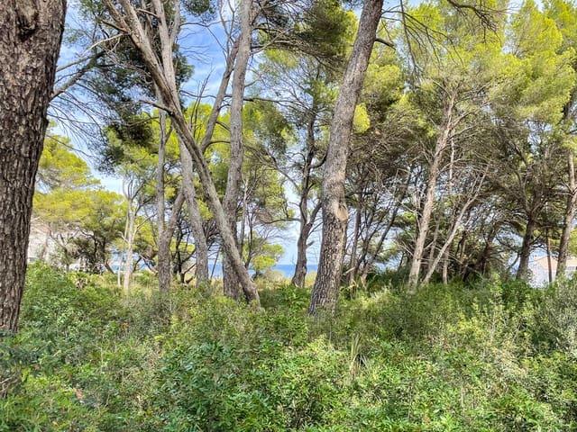 Terreno en venta en sa Pedruscada, Llevant