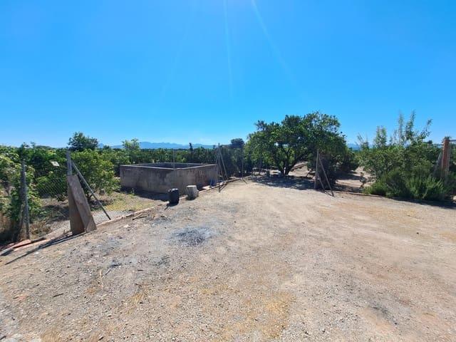 Terreno en venta en la Ribera Alta, Valencia