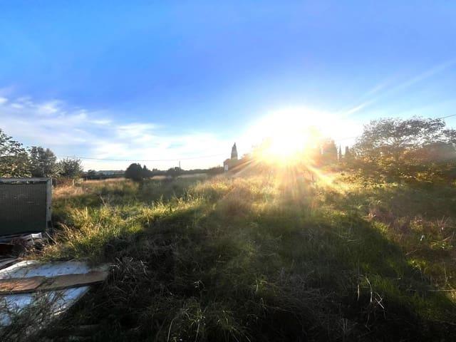 Terreno en venta en la Ribera Alta, Valencia