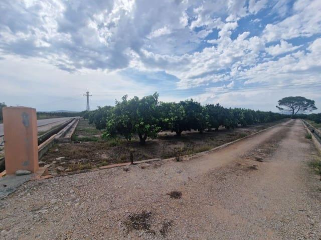 Terreno en venta en la Ribera Alta, Valencia