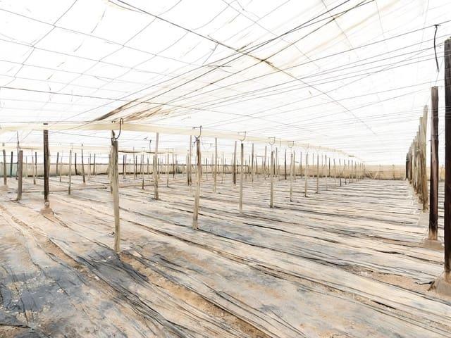 Terreno en venta en Carchuna, Comarca de la Costa Granadina