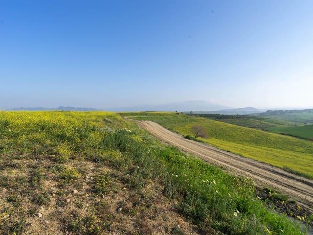 Terreno en venta en Cártama Terreno en venta en Cártama