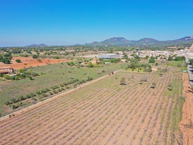 Terreno en venta en Cas Concos des Cavaller, Migjorn