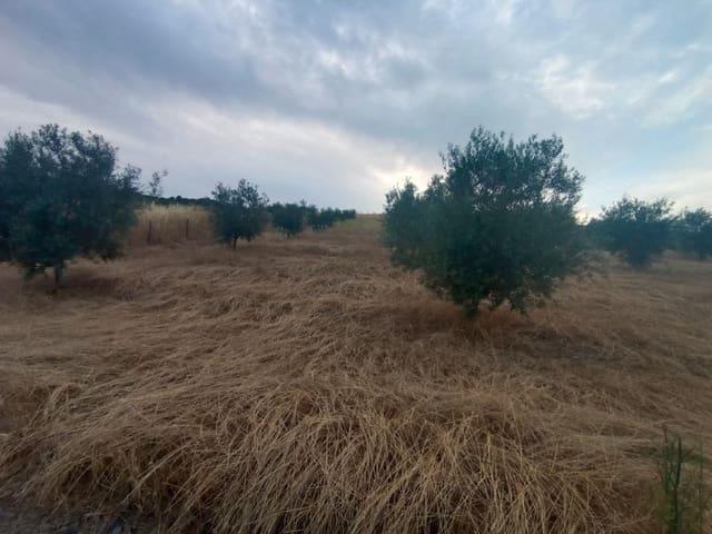 Terreno en venta en Casabermeja